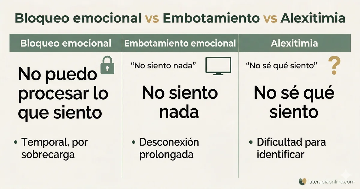 Infografia comparativa: bloqueo emocional vs embotamiento vs alexitimia y sus diferencias